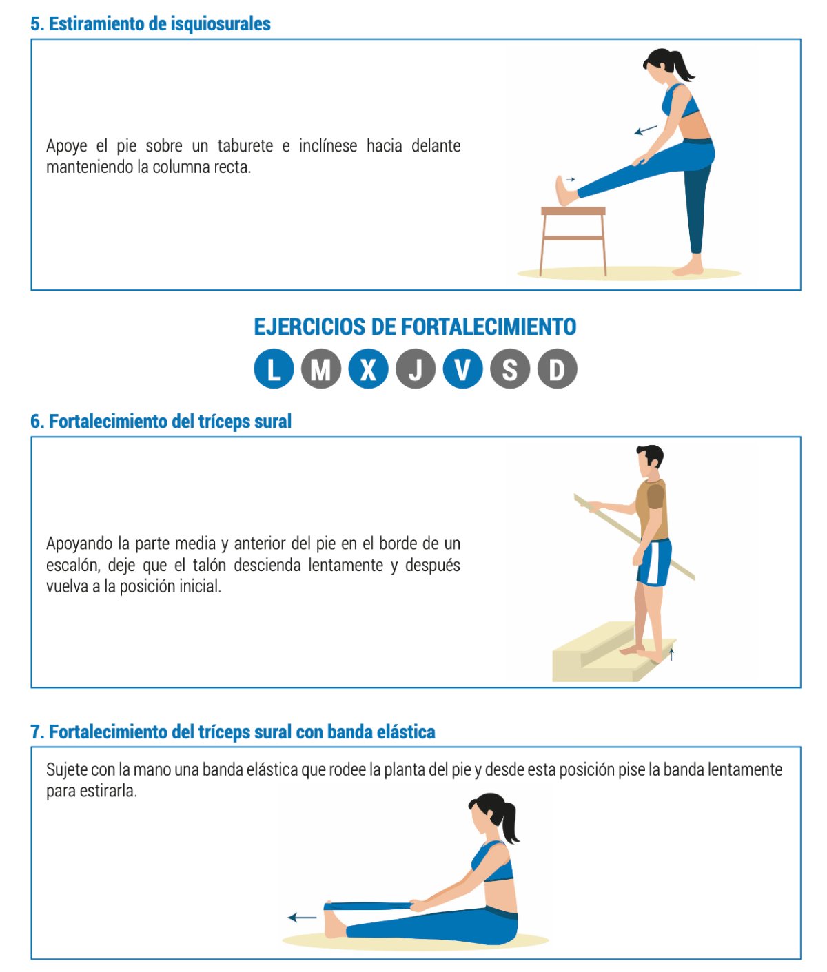 Ejercicios de estiramiento y fortalecimiento