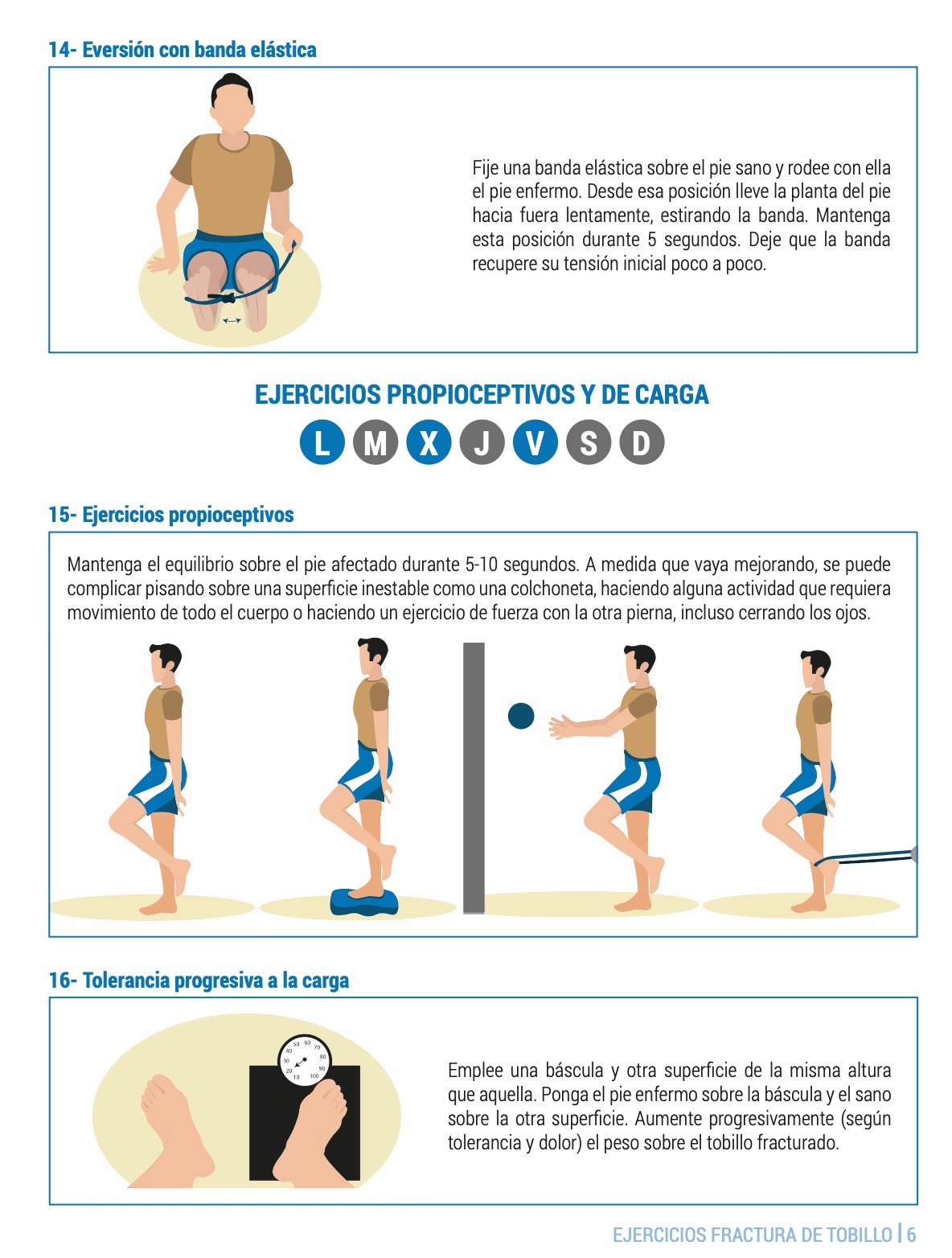 Ejercicios propioceptivos y de carga